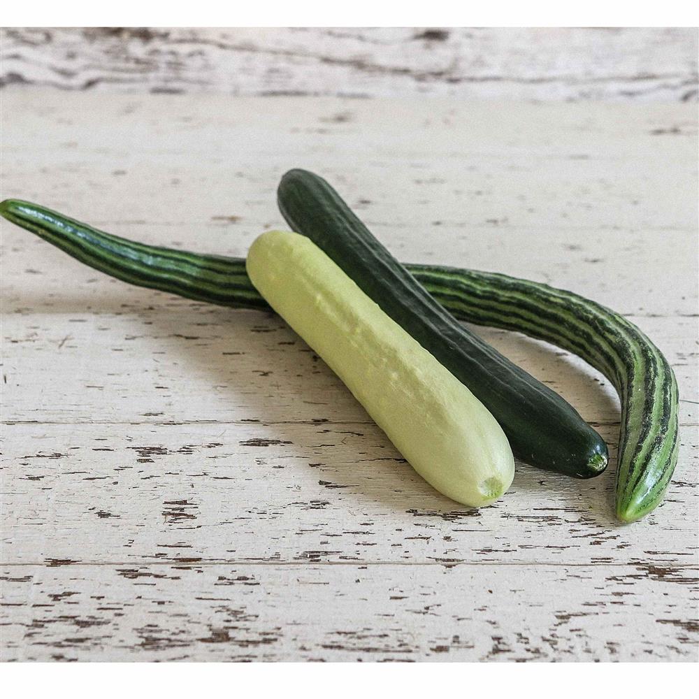 Cucumbers-White & Green